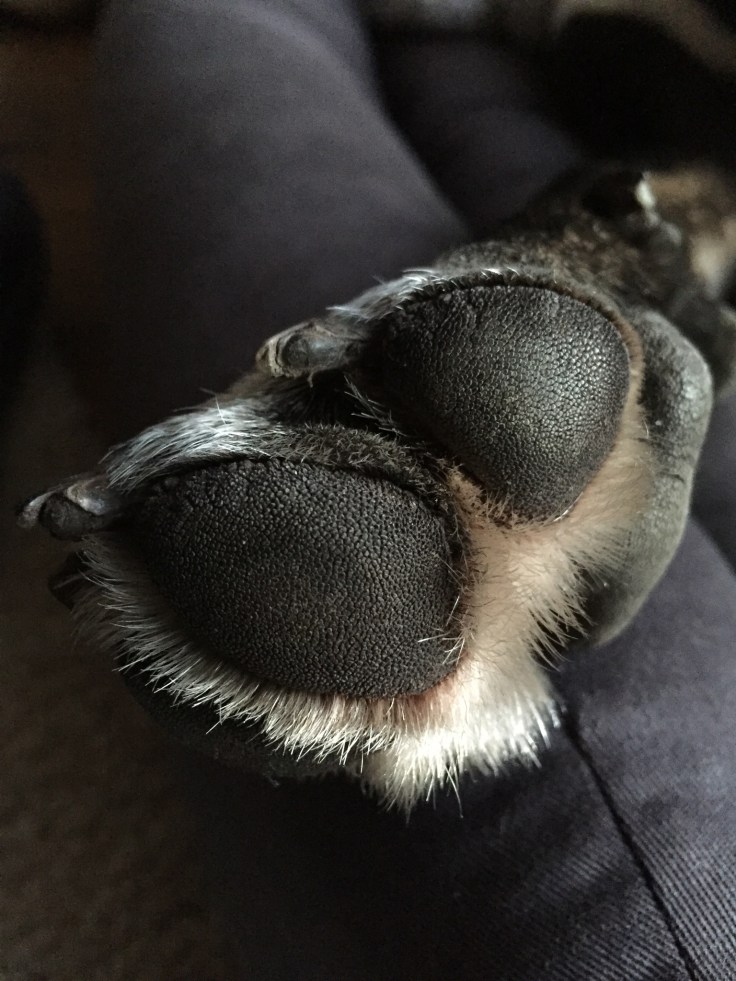 ABE082B8-529F-41DF-B822-9F36273A147A