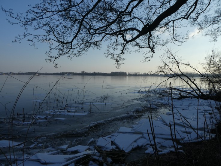 P1050017.jpg