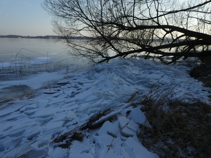 P1050019.jpg