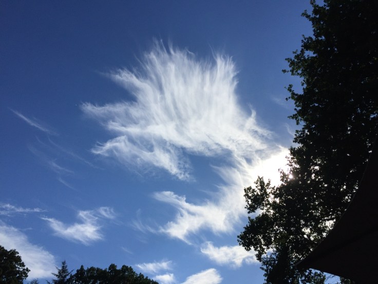 1D82513C-8955-4844-8BD3-83DC54E9D34F