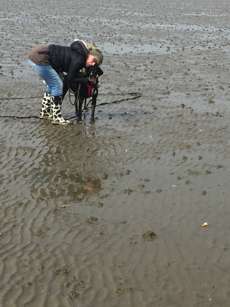 FAFD7779-1B58-4A5C-8017-CC8CB9230438